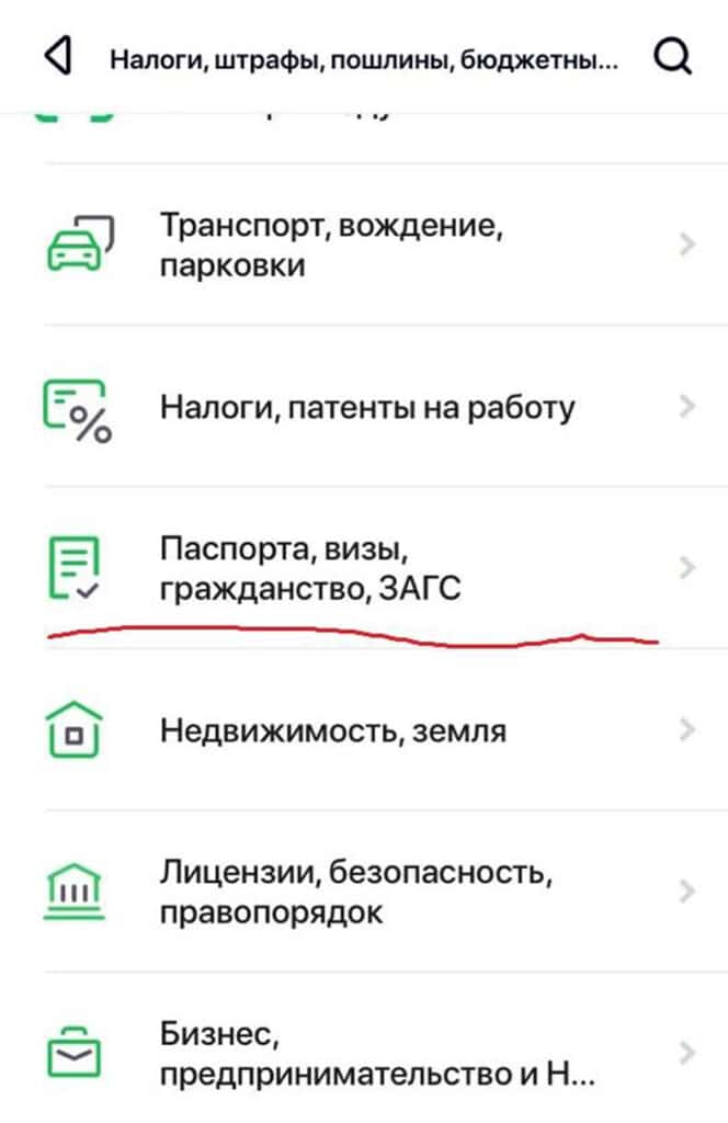 Государственная обязанность по паспорту РФ через мобильное приложение 2