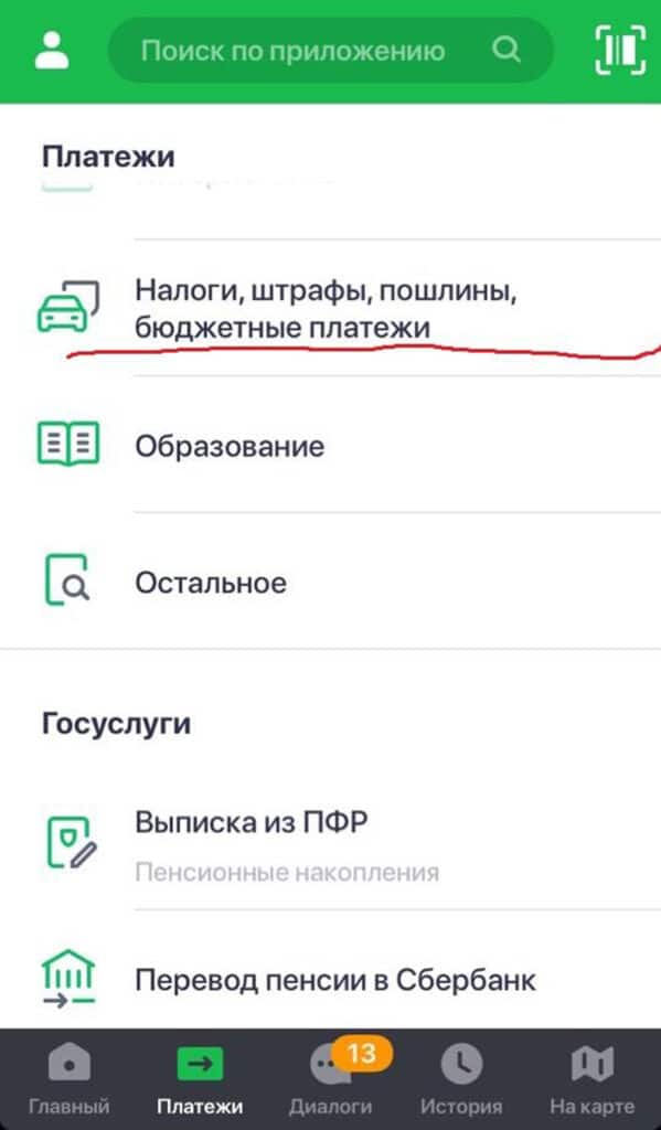 Государственная обязанность по паспорту РФ через мобильное приложение 1